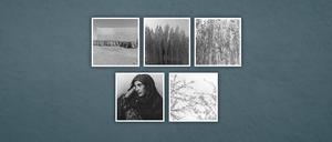 Bei einem Kellereinbruch in Berlin-Charlottenburg wurden mindestens fünf Schwarz-Weiß-Fotografien der Künstlerin Frauke Eigen entwendet.