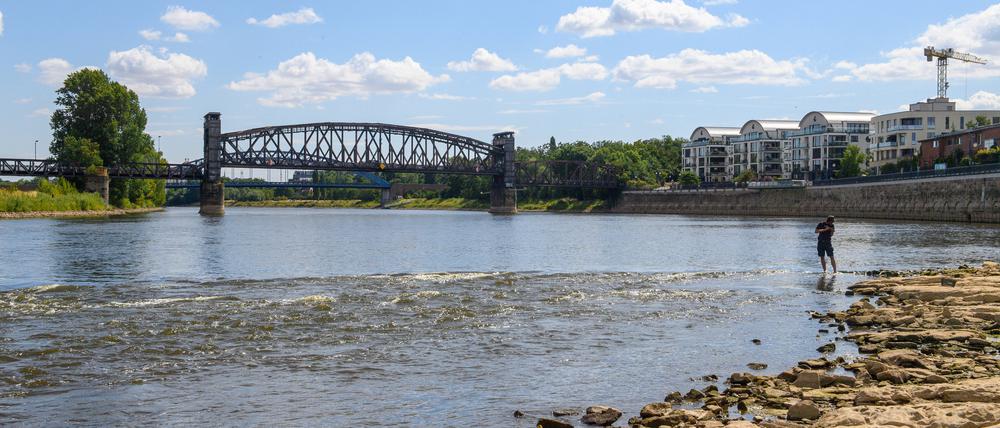 Ein Mann steht am Domfelsen im Wasser der Elbe und kühlt sich die Füße. An der Elbe ist voraussichtlich ein historisches Niedrigwasser gemessen worden.