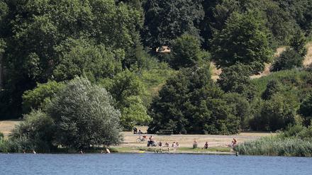 Im Sommer zieht es viele Menschen in den Potsdamer Park Babelsberg.