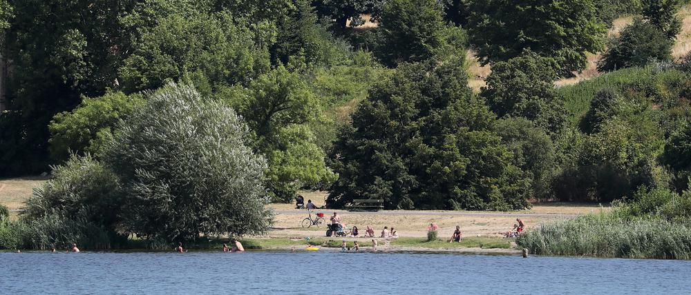 Im Sommer zieht es viele Menschen in den Potsdamer Park Babelsberg.