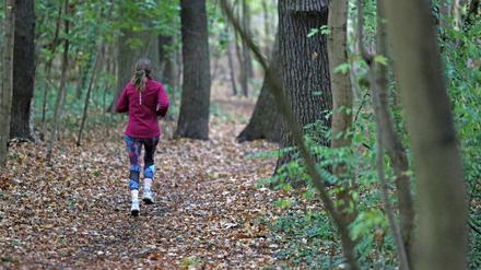 Eine Joggerin läuft durch den Wald. (Symbolbild)