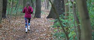 Eine Joggerin läuft durch den Wald. (Symbolbild)