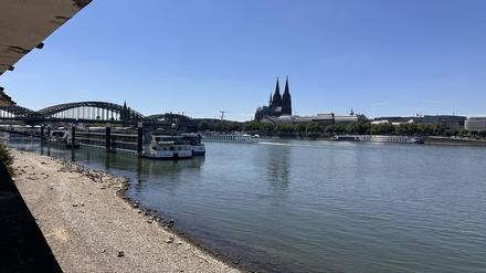 Klimawandel lässt den Rhein wärmer werden: Ein Abschnitt droht besonders zu kippen – mit Folgen für Fische, Frachter und Fabriken.