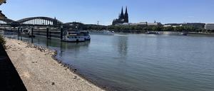 Klimawandel lässt den Rhein wärmer werden: Ein Abschnitt droht besonders zu kippen – mit Folgen für Fische, Frachter und Fabriken.