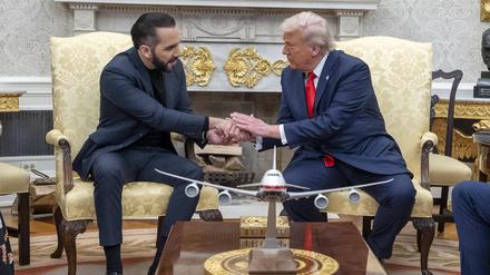 Hat US-Präsident Donald Trump sich auf einen dreckigen Deal eingelassen, um El Salvadors Nayib Bukele zu schützen?