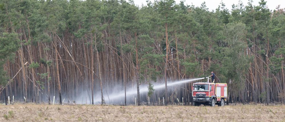 Ausreichend Regen hat die Löscharbeiten beim Waldbrand in der Gohrischheide auf die Zielgerade gebracht. 