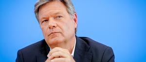 Habecks und Paluchs Roman ist 2004 zum ersten Mal erschienen. (Archivbild)