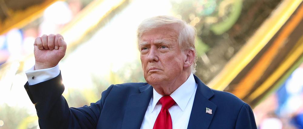 US-Präsident Donald Trump will Patriot-Systeme für die Ukraine an Europa verkaufen.