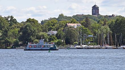 Blick auf die Halbinsel Hermannswerder in Potsdam, wo die Hoffbauer-Stiftung ihren Sitz hat.