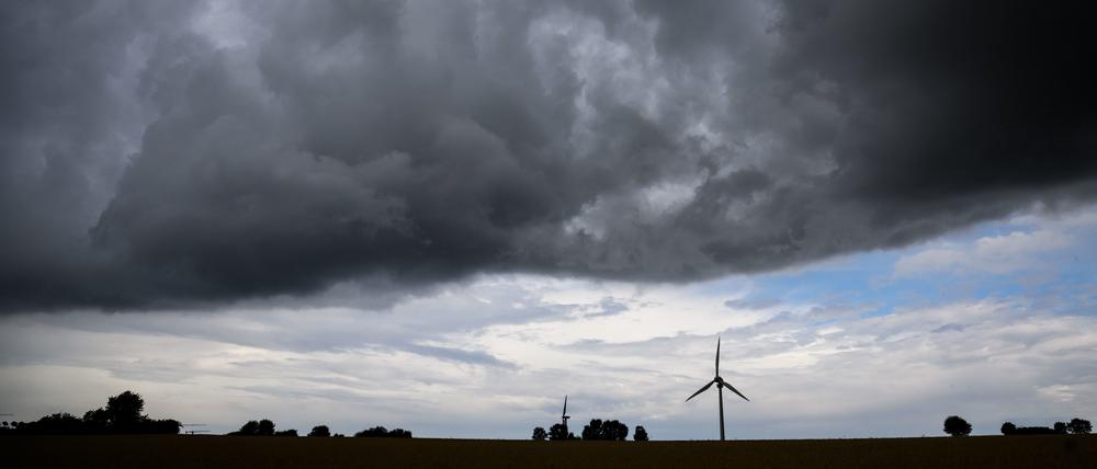 Extremwetter verursache bereits heute enorme Kosten, betonen Umweltforschende.