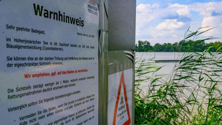 Im Hohenjesarscher See trüben Blaualgen derzeit den Badespaß.