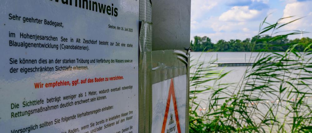 Im Hohenjesarscher See trüben Blaualgen derzeit den Badespaß.