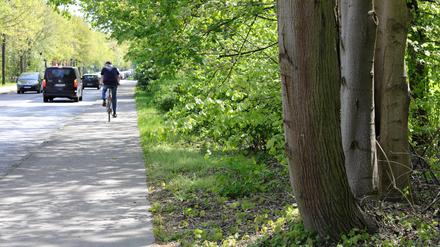 Fahrradtour zum „Happy Tree Day“.