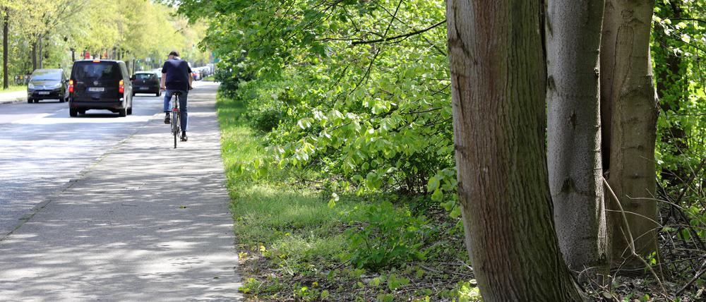 Fahrradtour zum „Happy Tree Day“.