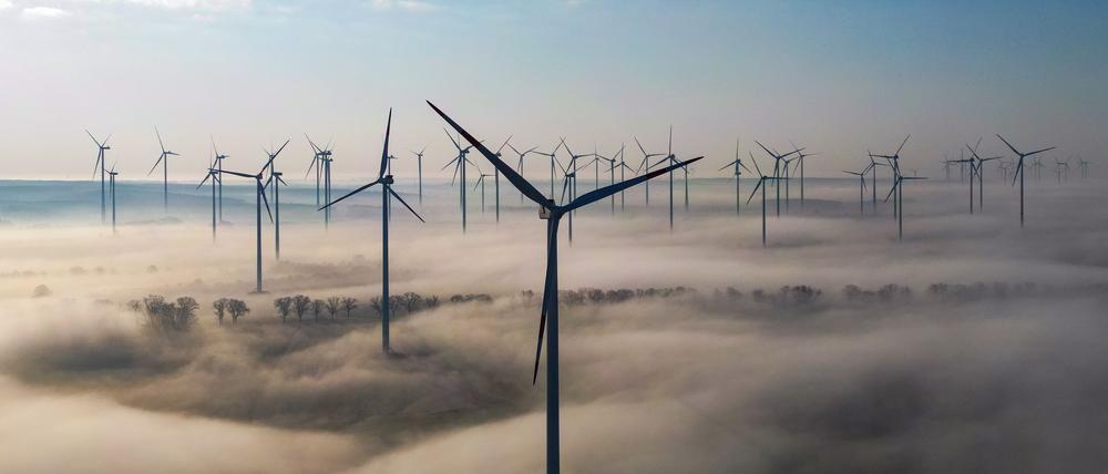 In Brandenburg wurden im ersten Halbjahr 45 neue Windenergieanlagen in Betrieb genommen. (Archivbild)