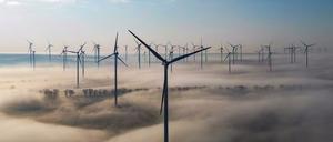 In Brandenburg wurden im ersten Halbjahr 45 neue Windenergieanlagen in Betrieb genommen. (Archivbild)
