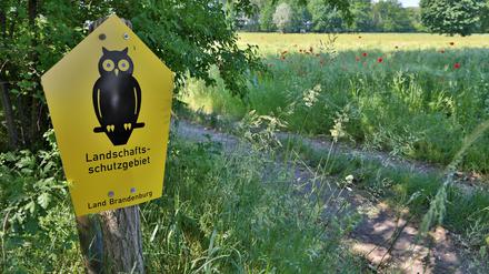 Das geplante Gesetz soll das Bauen in Landschaftsschutzgebieten erleichtern und die Klagerechte der Naturschutzverbände beschränken.