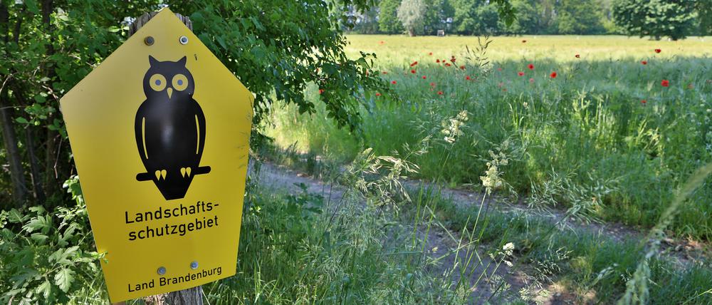 Das geplante Gesetz soll das Bauen in Landschaftsschutzgebieten erleichtern und die Klagerechte der Naturschutzverbände beschränken.