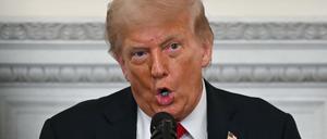 US-Präsident Donald Trump.