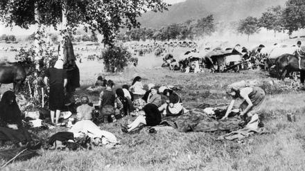 Ein Flüchtlingstreck 1945 auf dem Weg von Ostpreußen nach Westen während einer Rast.
