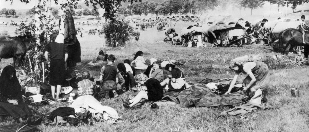 Ein Flüchtlingstreck 1945 auf dem Weg von Ostpreußen nach Westen während einer Rast.