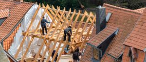 Holz ist ein breit verwendetes Baumaterial, etwa für Dachstühle, aber bislang kommen nur wenige Sorten zum Einsatz.