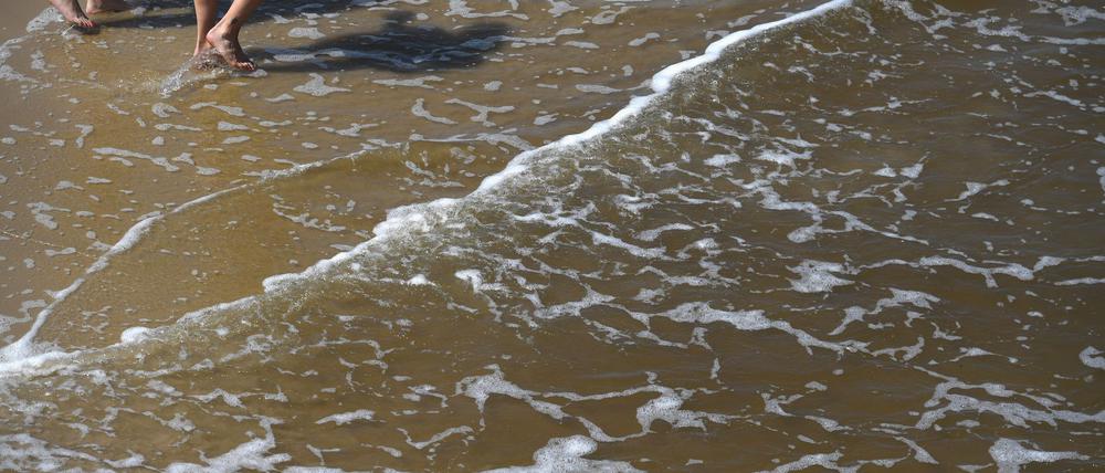 Mit der sommerlichen Hitze steigt das Risiko für Vibrionen-Infektionen an Nord- und Ostsee.