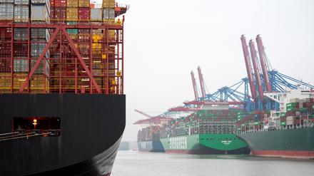 Containerschiffe liegen im Hafen auf der Elbe an den Terminals Eurogate (l.) und Burchardkai. 