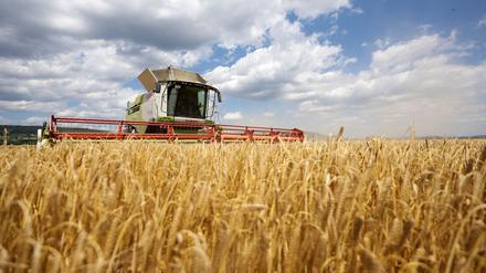 Die Bauernverbände befürchten Nachteile für den ländlichen Raum. (Symbolbild)