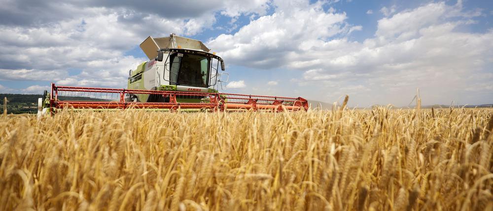 Die Bauernverbände befürchten Nachteile für den ländlichen Raum. (Symbolbild)