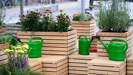Sitzen im Schatten, Pflanzen und ein Trinkbrunnen: Das soll bei Hitze in der Öffentlichkeit helfen.