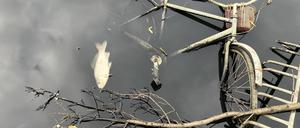Der große Teich im Volkspark Friedrichshain