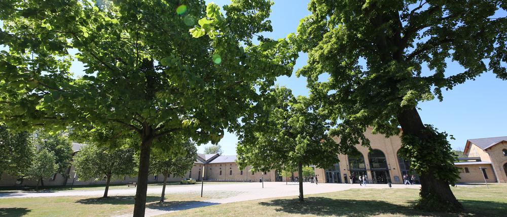Dalton-Gymnasium Potsdam. Aufgrund von Raumnot sind zusätzliche Klassen-Container geplant. Der Naturschutzbund vermutet Gefahr für Baumbestand.