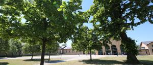 Dalton-Gymnasium Potsdam. Aufgrund von Raumnot sind zusätzliche Klassen-Container geplant. Der Naturschutzbund vermutet Gefahr für Baumbestand.
