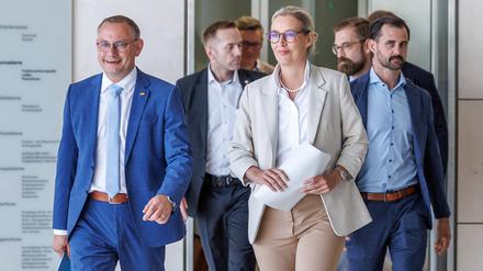 AfD-Fraktionsspitze Alice Weidel und Tino Chrupalla.