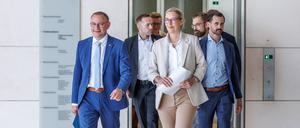 AfD-Fraktionsspitze Alice Weidel und Tino Chrupalla.