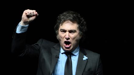 Der Mann mit der Kettensäge: Argentiniens Präsident Javier Milei.