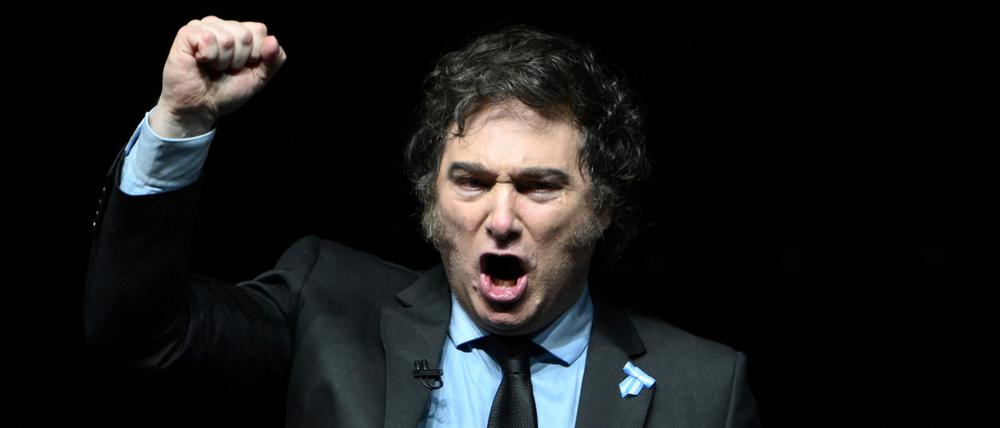 Der Mann mit der Kettensäge: Argentiniens Präsident Javier Milei.