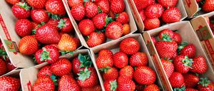 Ein 19-Jähriger verübte am Montagnachmittag einen Raub auf einen Berliner Erdbeerstand (Symbolbild)