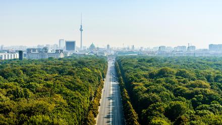 Seit mehr als 100 Jahren wird im Tiergarten gecruist – vor allem im Bereich der Löwenbrücke. 