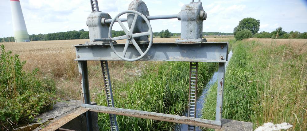 Wehre wie dieses gibt es tausendfach in Brandenburg, doch oft sind sie marode – und fallen für das Wassermanagement aus.