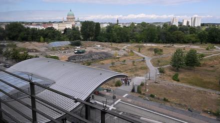 Der Nuthepark am Hauptbahnhof soll zum klimaresilienten Ort werden – dafür gibt es Fördergeld. 