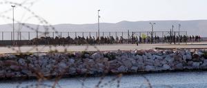 Gerettete Migranten aus Kreta und Gavdos kommen im Hafen von Lavrio an. 