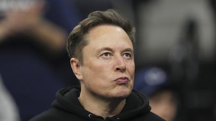 Bald noch reicher: Tesla-CEO und Milliardär Elon Musk