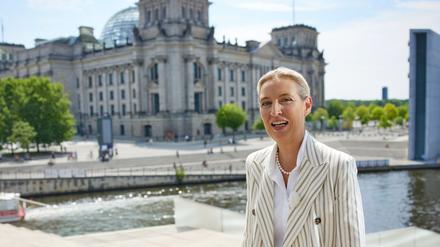 AfD-Chefin Alice Weidel ging im Interview wegen der Lautstärke eines Protests fast unter.