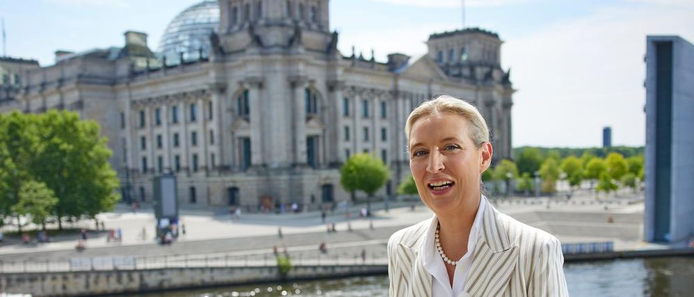 AfD-Chefin Alice Weidel ging im Interview wegen der Lautstärke eines Protests fast unter.