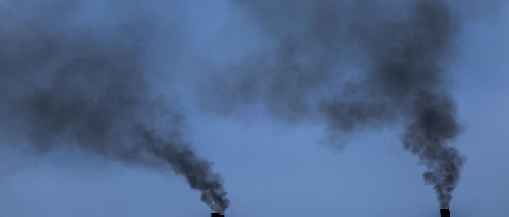 Die CO-Emissionen von Containerschiffen in der EU sind gestiegen. (Symbolbild)