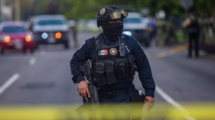 In Sinaloa herrscht ein blutiger Bandenkrieg. Resultiert daraus gerade ein neues, mächtigeres Drogennetzwerk? 