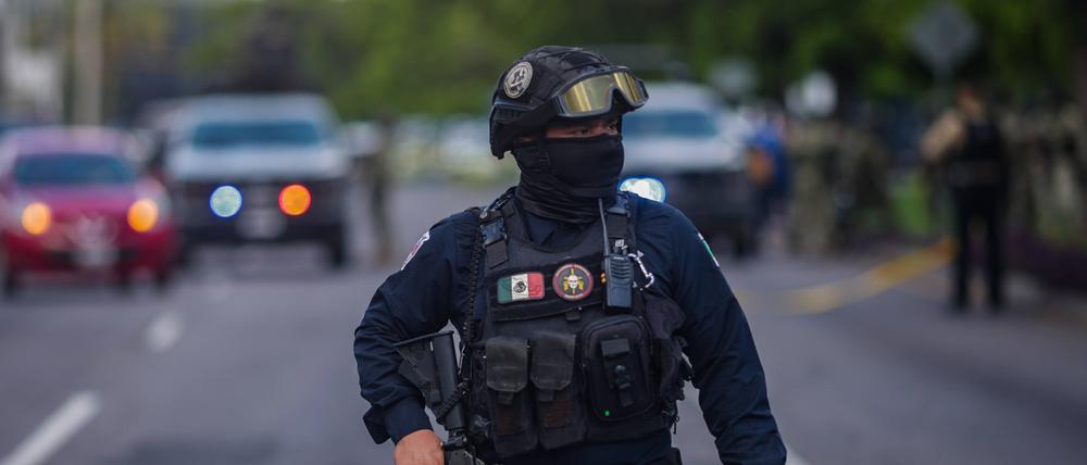 In Sinaloa herrscht ein blutiger Bandenkrieg. Resultiert daraus gerade ein neues, mächtigeres Drogennetzwerk? 