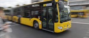 Die BVG bietet ab Ferienstart wieder zusätzliche Busfahrten zum Wannsee und zum Tegeler See an. (Symbolbild)